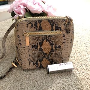 Hobo Snakeskin Nash Crossbody in Gradient Python